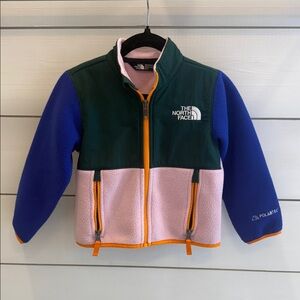 The North Face Kids' Multicolor Fleece Jacket